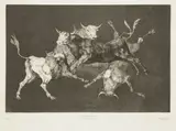 Lluvia de toros. 1816-1824 by Francisco Goya y Lucientes, Eau-forte, aquatinte et brunissoir, sold Nov 2016