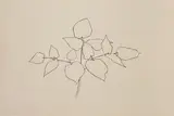 Woodland Plant" (A. 178) by Ellsworth Kelly, Lithographie, sold Sep 2019