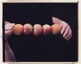 Still Life with 2 Oranges & 3 Apples in Tension by Iain Baxter&, 1981, chromogenic Polaroid, sold Nov 2021