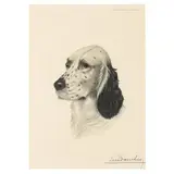 Setter Head by Léon Danchin, Etching with aquatint, sold Aug 2024