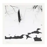 Untitled (Tree) by George Tice, Gelatin silver print, sold Jul 2024