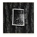 Trees, Chicago by Kenneth Josephson, 1964, Gelatin silver print, sold Jul 2024
