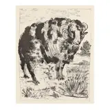 The Ram (Le Bélier) by Pablo Picasso, Aquatint and drypoint, sold Jul 2024