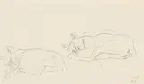 Zwei Katzen by Cuno Amiet, 1957, pencil, offered Jun 2019