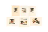 Untitled by Tuvia Beeri, print (other), offered Mar 2023