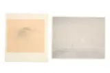 Untitled by Gunnar Norrman, charcoal on paper, offered Mar 2023