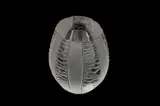 Preview: Barley Mow by Katharine Coleman, engraving, offered Mar 2023