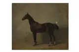 Untitled by Carl Steffeck, oil on canvas, offered Mar 2023