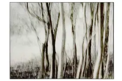 Forest gladeTwo framed photographs on glass showing forest glade126,5 x 96,5 cm121 x 96,5 cm by Boconcept Glass Art, photograph, offered Feb 2023