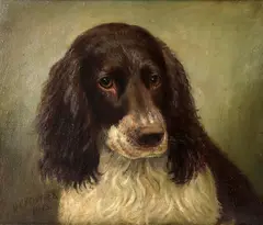 Head of a spaniel Oil on canvas Signed and dated 1913 (lower left) 26 x 31cm (10 x 12 in.) Condition Report: Light surface dirt throughout by Henry Crowther, 1913, Oil on canvas, sold Aug 2021