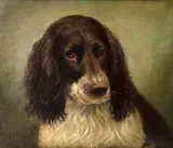 Head of a spaniel Oil on canvas Signed and dated 1913 (lower left) 26 x 31cm (10 x 12 in.) Condition Report: Light surface dirt throughout by Henry Crowther, 1913, Oil on canvas, sold Aug 2021