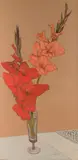 Gladiole II, 1976 by Shirley Teed, oil on canvas, offered Aug 2021