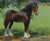 Study of a Shire horse by Frank Wootton, oil on canvas, sold Jul 2022