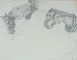 Sketh of horsese, 23 x 30cm by Robert Lillie, pencil, sold Jul 2022