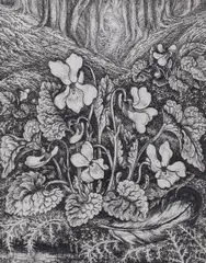 White violets by Robin Tanner, etching, sold Jul 2022