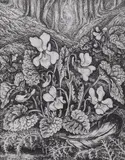 White violets by Robin Tanner, etching, sold Jul 2022
