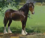 Study of a Shire horse by Frank Wootton, oil on canvas, sold Jun 2022