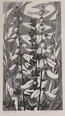 Foxgloves by Monica Poole, engraving, sold Jun 2022