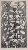 Foxgloves by Monica Poole, engraving, sold Jun 2022