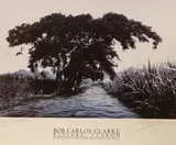 Untitled by Bob Carlos Clarke, print (other), offered Jun 2022