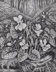 White violets by Robin Tanner, etching, sold Jun 2022