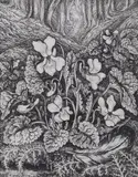 White violets by Robin Tanner, etching, sold Jun 2022