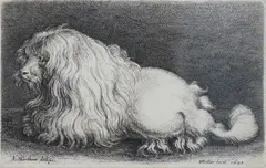 The Bolognese Terrier' etching signed in the plate and dated 1649 8 x 12.5cm by Wenceslaus Hollar Von Prachna, 1649, etching, sold Jun 2022