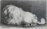 The Bolognese Terrier' etching signed in the plate and dated 1649 8 x 12.5cm by Wenceslaus Hollar Von Prachna, 1649, etching, sold Jun 2022