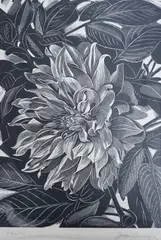 Dhalia, Apples, Yew Trees and another Yew Trees, all numbered in pencil, largest 34 x 24cm, unframed by John Farleigh, pencil, sold Jun 2022
