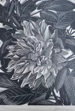 Dhalia, Apples, Yew Trees and another Yew Trees, all numbered in pencil, largest 34 x 24cm, unframed by John Farleigh, pencil, sold Jun 2022