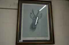 'roebuck', coloured print, f/g by Brian Rawling, PRINT, sold Aug 2022