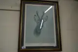 'roebuck', coloured print, f/g by Brian Rawling, PRINT, sold Aug 2022