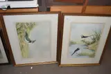 Study of lapwing with chicks and study of a pair of pied wagtails, watercolours, f/g by Andrew Osborne, watercolor, sold Aug 2022