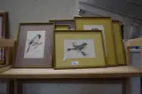 Six framed watercolour studies of garden birds by John Smith, WATERCOLOUR, sold Aug 2022