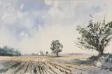 Horse Fen, Ludham by Clifford John, watercolour, sold Jul 2022