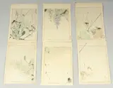 FROM THE PICTURE ALBUM OF BIRDS AND FLOWERS, 1903; three original Japanese woodblock prints (diptychs), (6) by Seitei Watanabe, print (other), sold Dec 2023