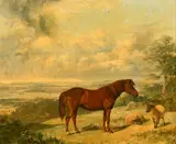 British, a chestnut horse alongside sheep with a distant view beyond by George Bouverie Goddard, oil on board, offered Nov 2023