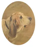 Head study of a Basset Hound by George Vernon Stokes, oil on canvas board, sold Nov 2023