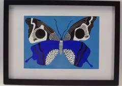 Colourful study of a Butterfly, 20 x 29cms by Shan Eccles, watercolor, sold Jun 2021