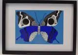 Colourful study of a Butterfly, 20 x 29cms by Shan Eccles, watercolor, sold Jun 2021