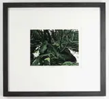 Yr Ynys by Ann Lewis limited edition, linocut, offered Apr 2021