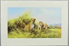 Leopards by David Shepherd, print, sold Aug 2018