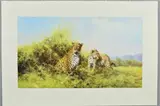 Leopards by David Shepherd, print, sold Aug 2018