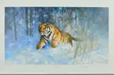 Tiger in the snow by David Shepherd, print, sold Aug 2018