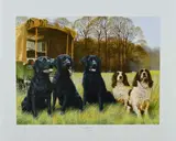 Great expectations by Nigel Hemming, print, sold Aug 2018