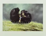 Family portrait by Spencer Hodge, print, sold Aug 2018