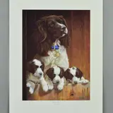 All above board by Nigel Hemming, print, sold Aug 2018