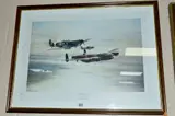 Memorial flight by Robert Taylor, print, sold Aug 2018