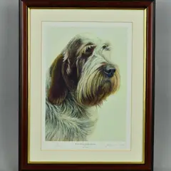 Brown roan italian spinone by Nigel Hemming, print, sold Jul 2018