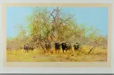 'In The Thick Stuff', A Herd of Cape Buffalo as a Limited by David Shepherd, print, sold Jul 2018